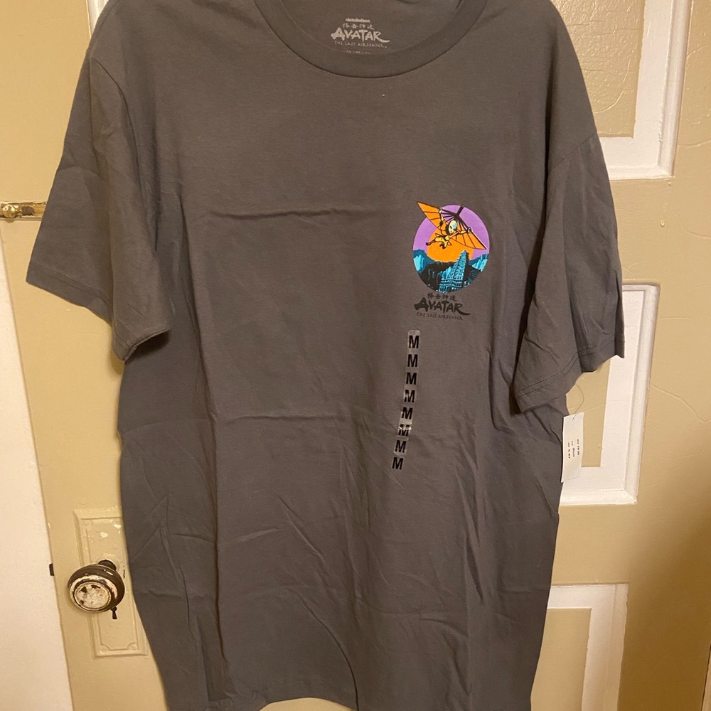 BRAND NEW Mens Avatar The Last Airbender Short Sleeve Tee ‼️